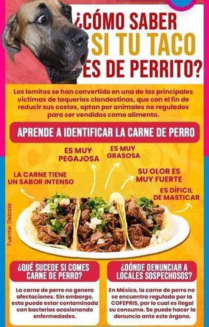 FB_IMG_1660378237056.jpg