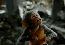 monkey-bleh.gif monkey-bleh.gif