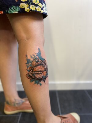 IMG_0429.jpeg