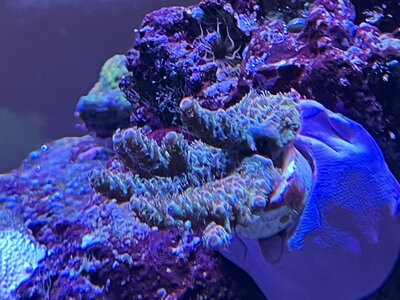 IMG_4767.jpeg