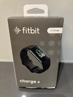 FitBitDoos.jpeg