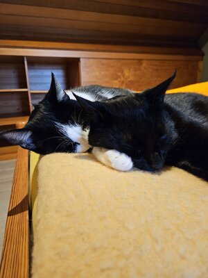 20250118_132424.jpg