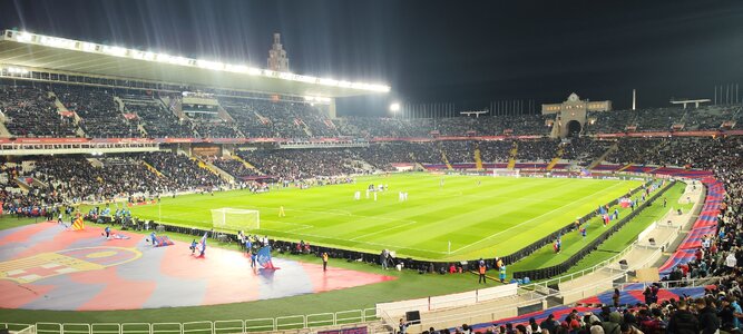 IMG_20250225_212902.jpg