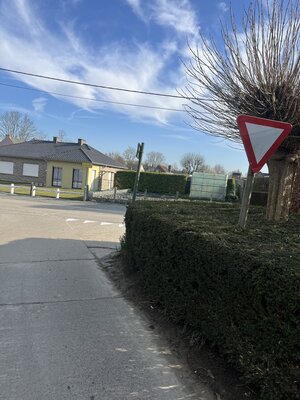 IMG_7486.jpeg