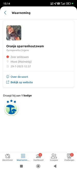 Screenshot_2025-07-29-15-14-25-667_org.observation.obsidentify.jpg