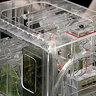 orac