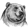 BigBear