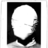 Torche