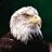 EagleEye