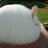 Fluffy