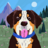dieterc