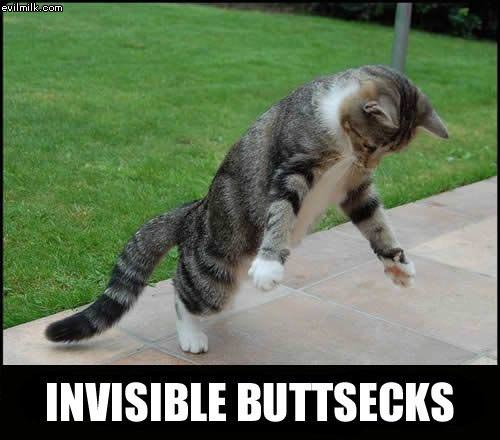Invisible_Buttsecks.jpg