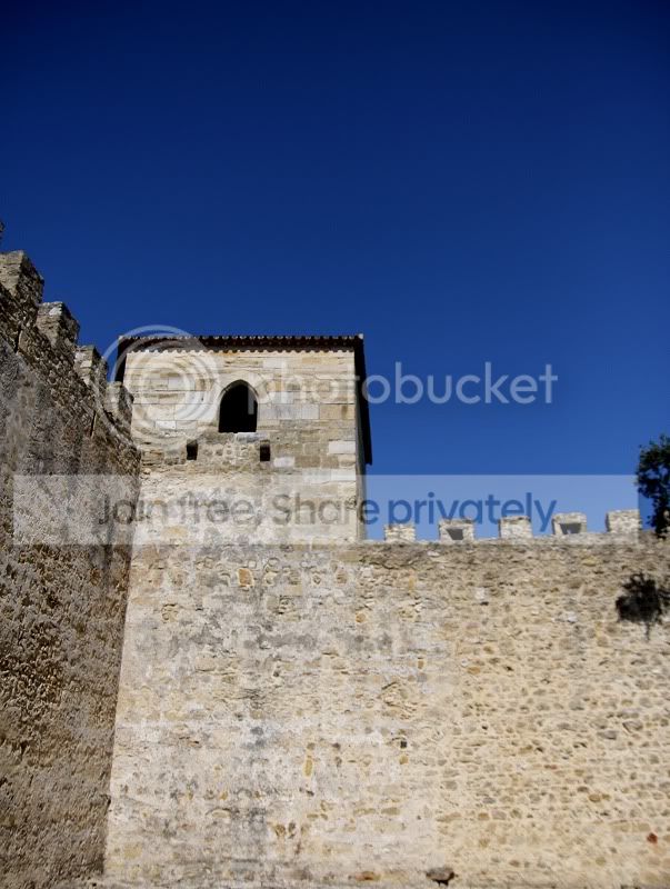sized_IMG_2729.jpg