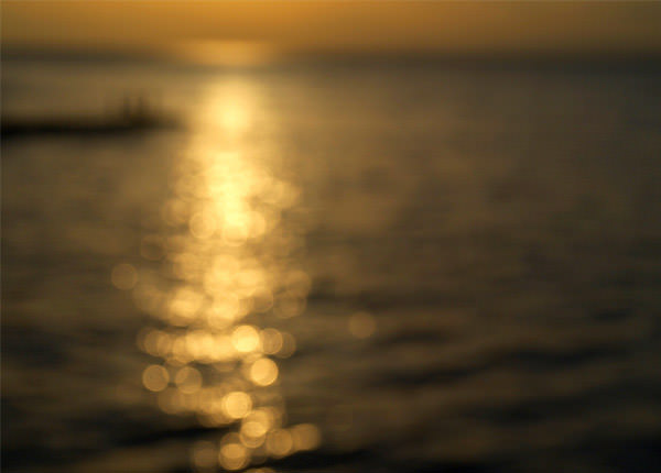 22-sunset-bokeh.jpg