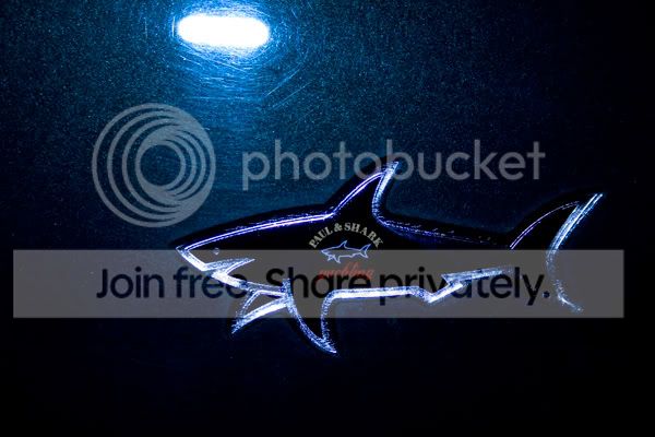 IMG_2625.jpg