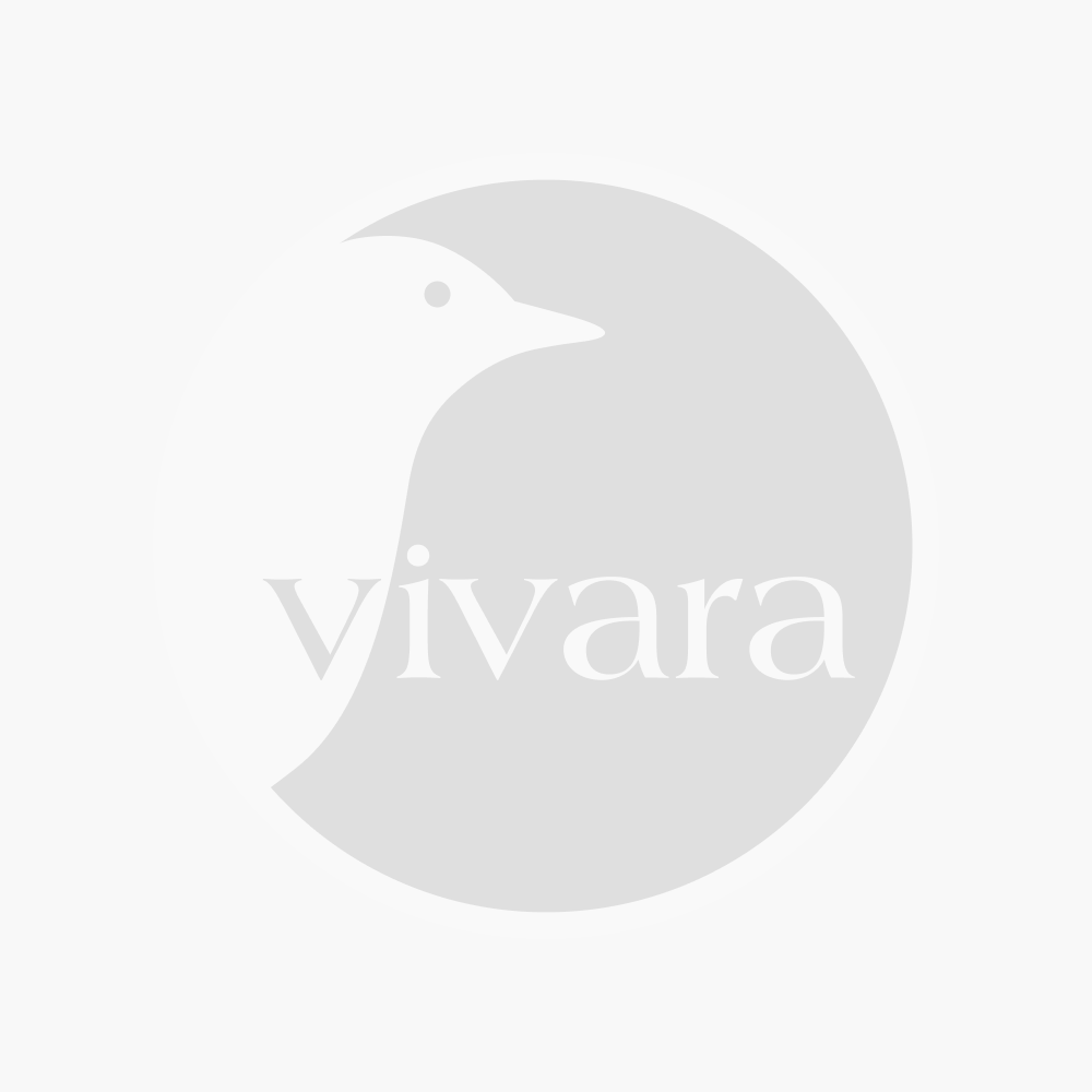 www.vivara.nl