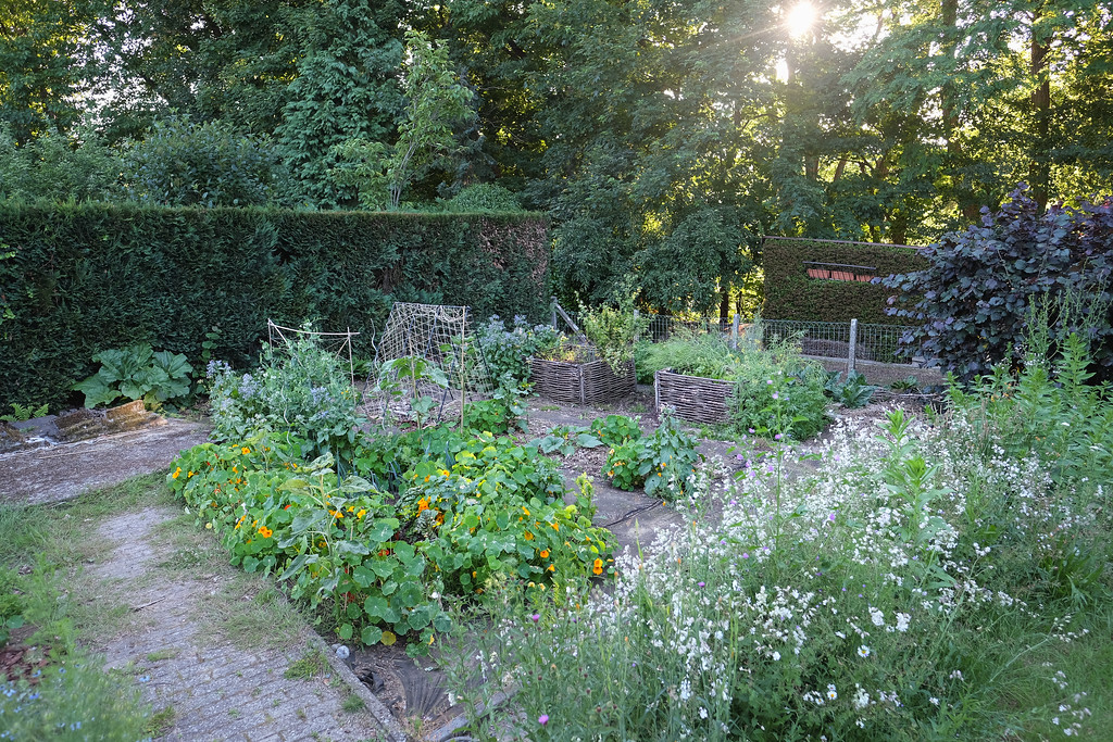 DSCF7593-XL.jpg