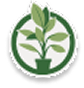 www.plantje.nl