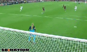 derpgoal.gif