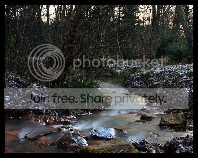 IMG_04511-border.jpg