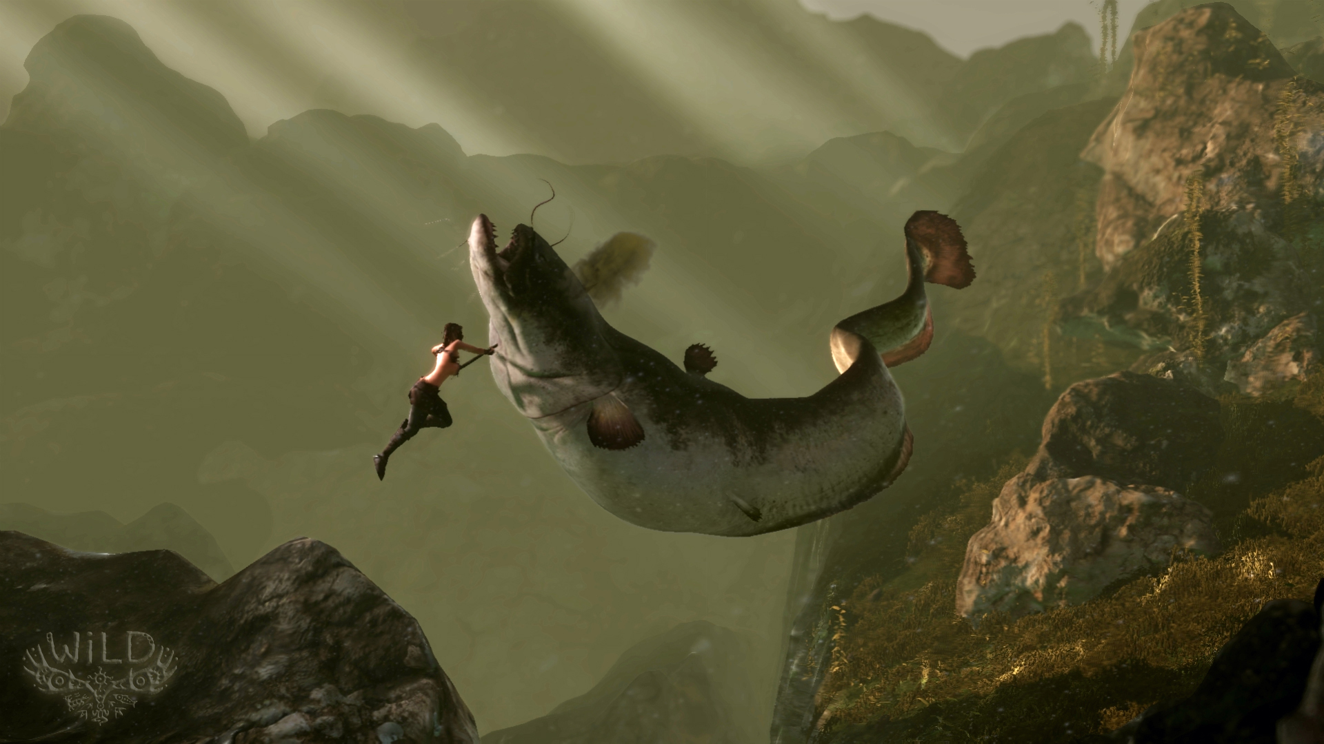 WILD_CatFishPursuit_1407930423.jpg