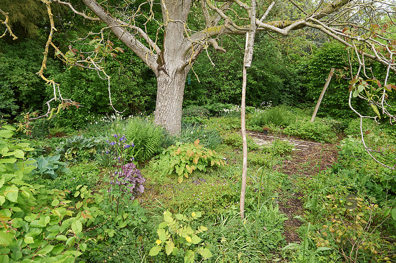 p2494885049-4.jpg
