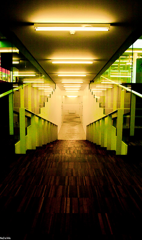 5333007226_a5a10dc4a9_b.jpg