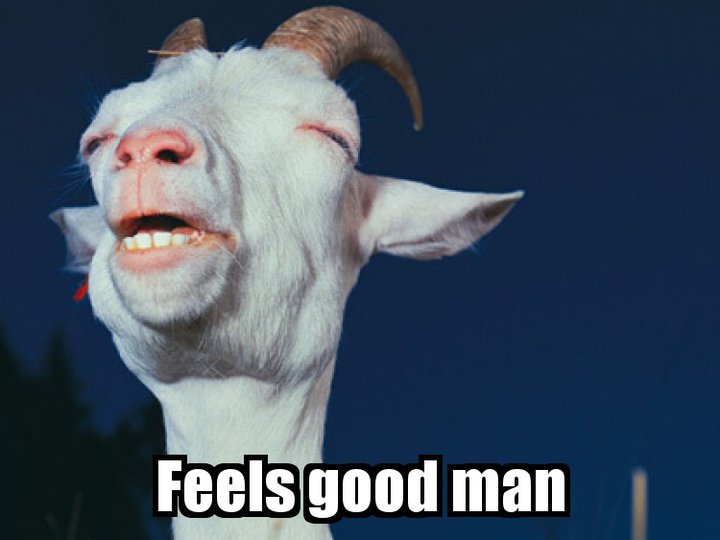 tumblr_le5ml0LK5v1qaaowno1_1280.jpg
