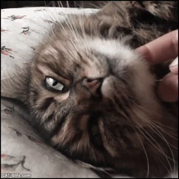 tumblr_ogwacra4Ps1vdlvpao1_400.gif