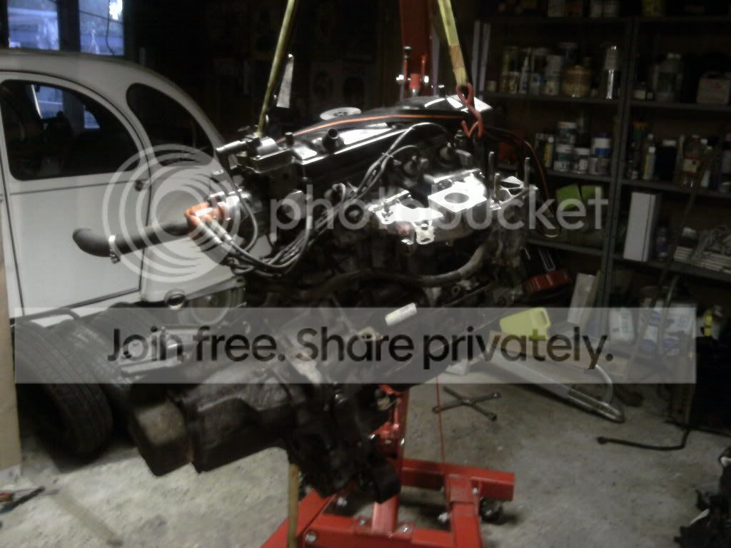 SP_A0233.jpg