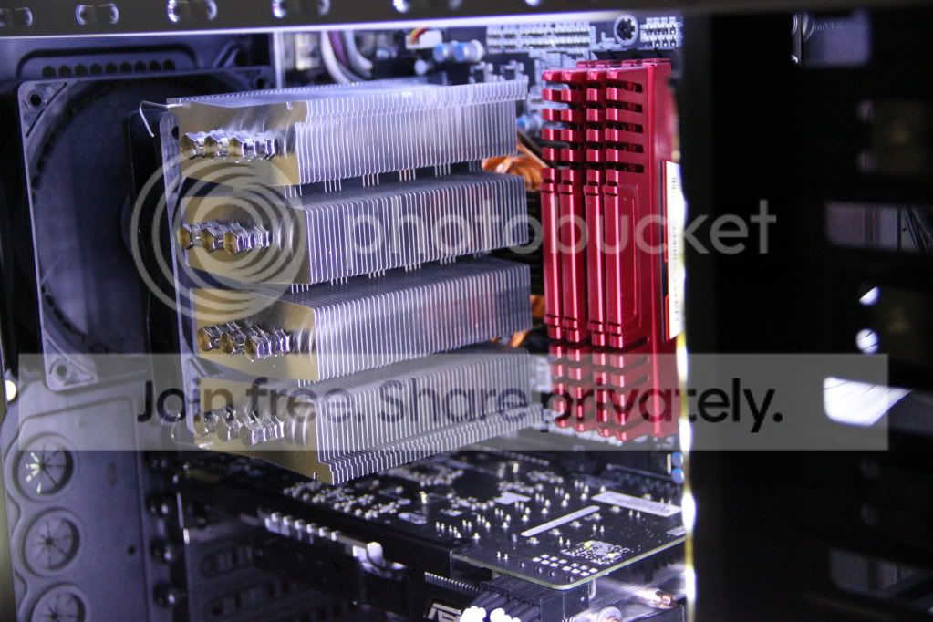 IMG_7219OK.jpg