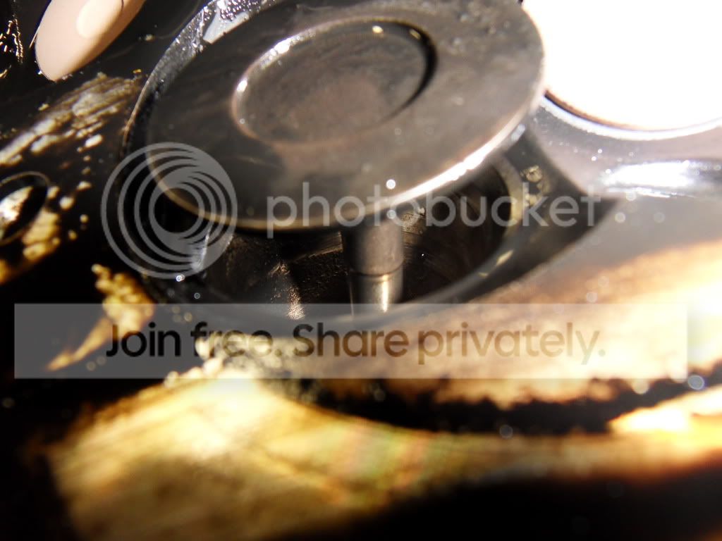 SDC11834.jpg