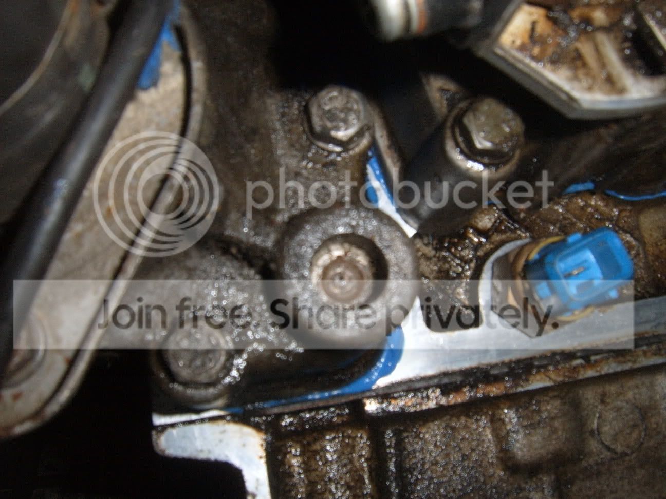 SUC50313.jpg
