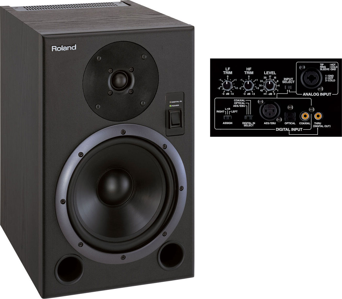 roland-ds-8.jpg