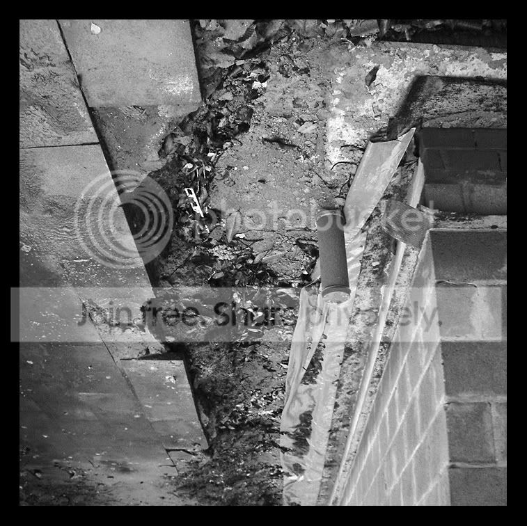 DSCF2064.jpg