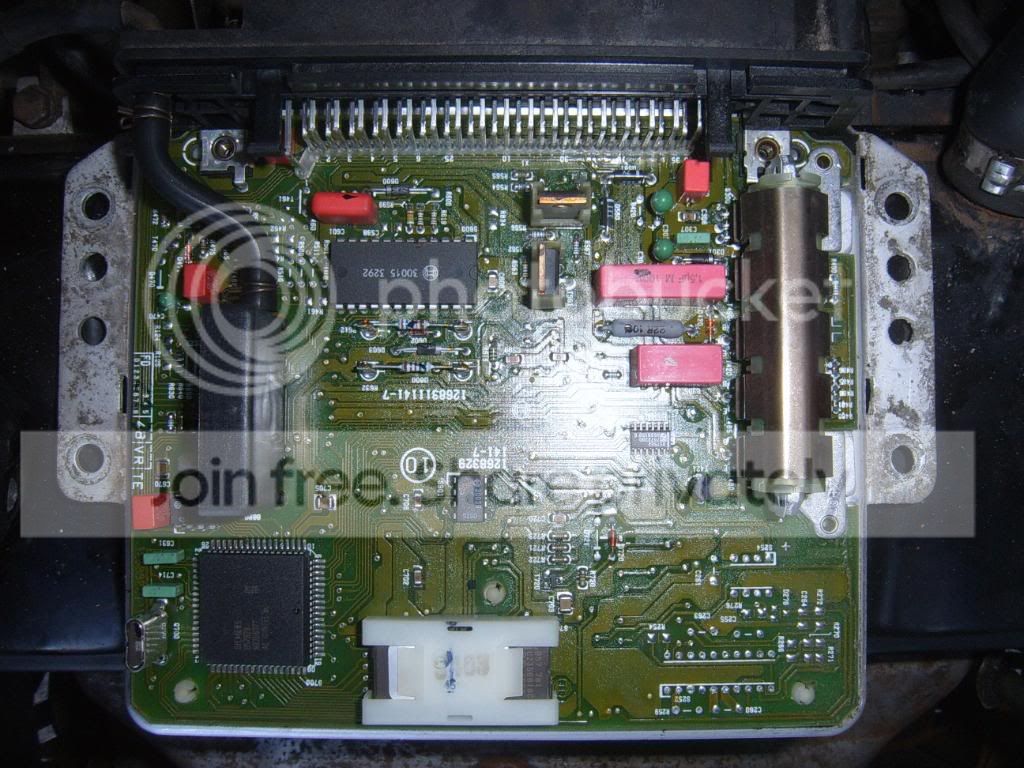 SUC53948.jpg