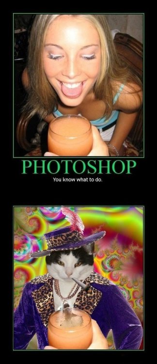 tumblr_lq00a8LbEH1qj26eao1_500.jpg