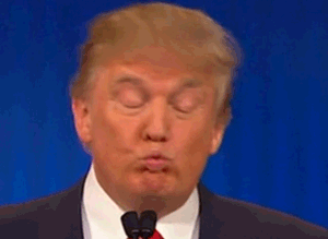 image.gif