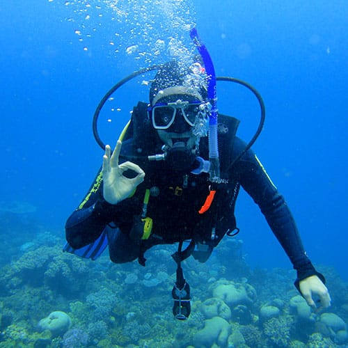 diving-cairns2.jpg