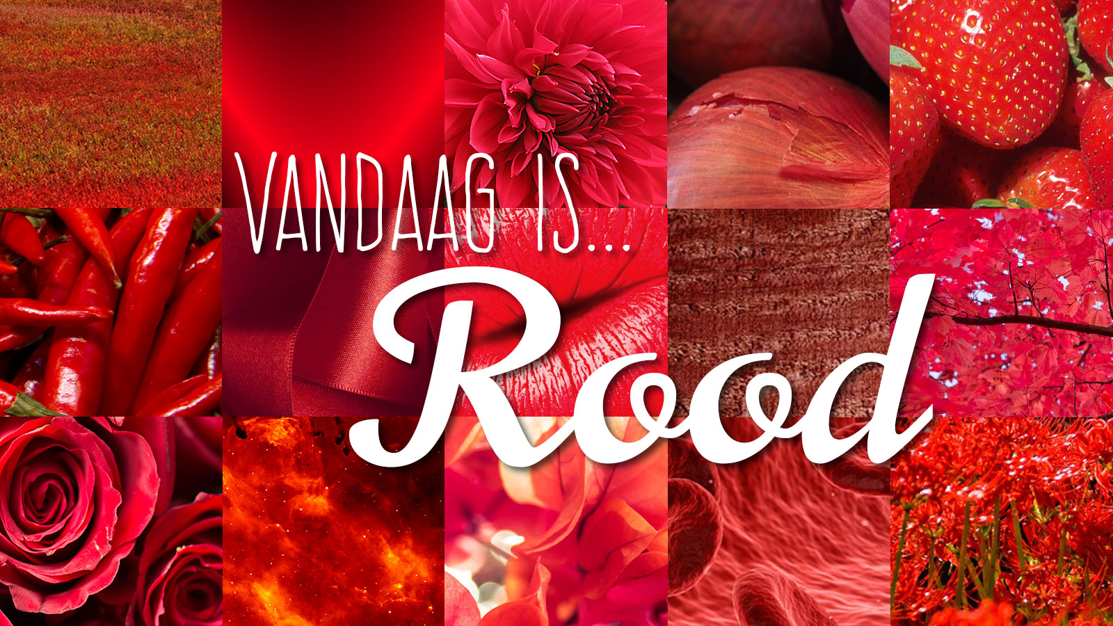 vandaag-is-rood.jpg