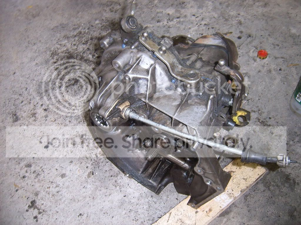 SUC52192.jpg