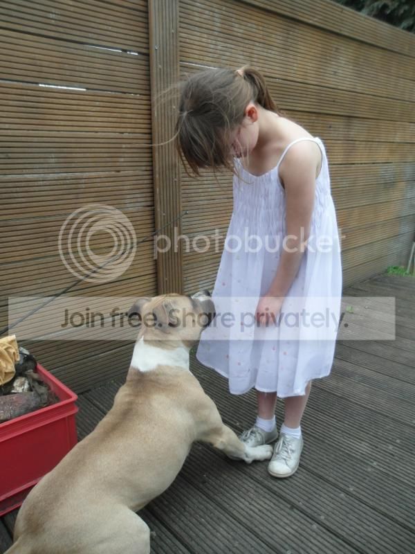 SAM_2402_zps32eecb1a.jpg