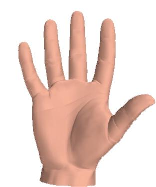 hand.jpg