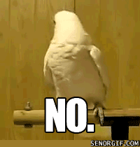 tumblr_inline_mo183tUSJG1qz4rgp.gif