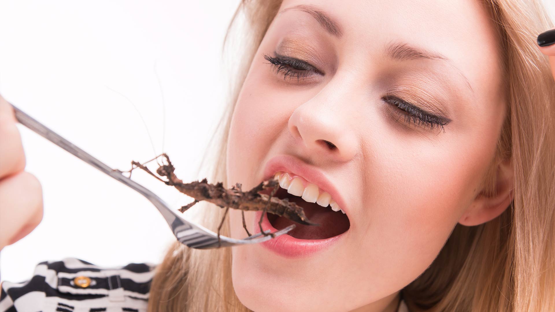 insecten-eten.jpg
