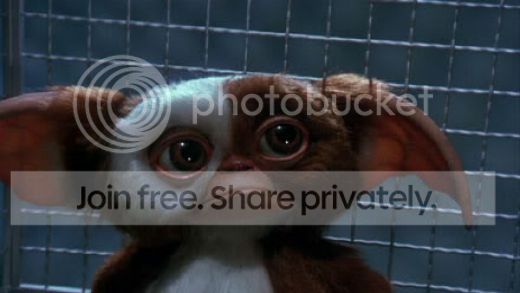 gizmo.jpg