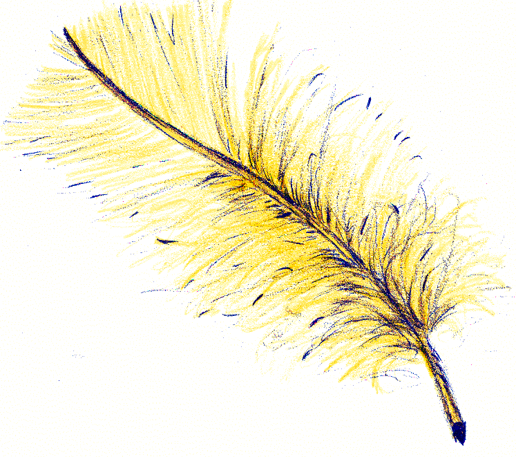 PLUIM.gif