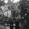 marylattimoreharpist.bandcamp.com