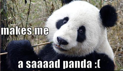 sad-panda.jpg