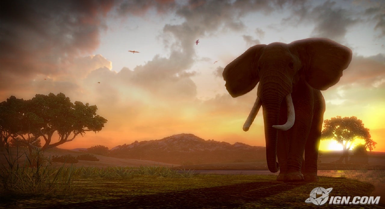 afrika-20090526110001481.jpg